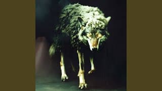 Wolf In Sheep's Clothing (REBORN ver.)