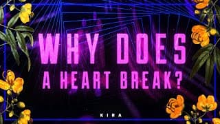 Why Does a Heart Break?