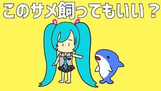 このサメ飼ってもいい？ short